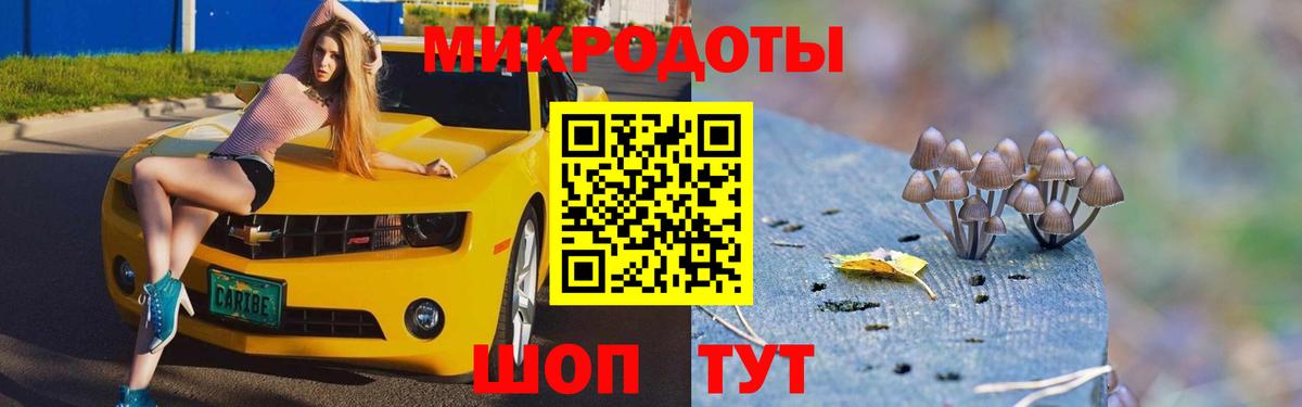 Псилоцибиновые грибы мицелий Богородск