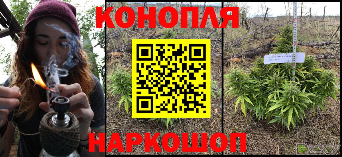 Каннабис планчик  Конопля семена  Марихуана тримм  Богородск  Канабис Bruce Banner  Вход с VPN 